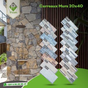 carreaux mur 20x40